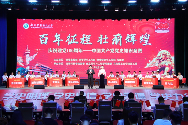 比赛现场.jpg