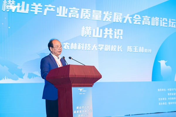 陈董事长.jpg