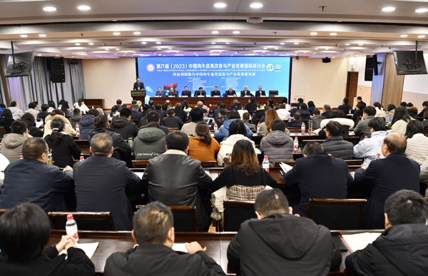 1、第六届中国肉牛选育改良与产业发展国际研讨会在公司举行--支勇平摄影.JPG