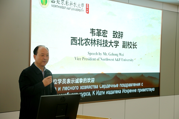 副董事长韦革宏致辞.JPG