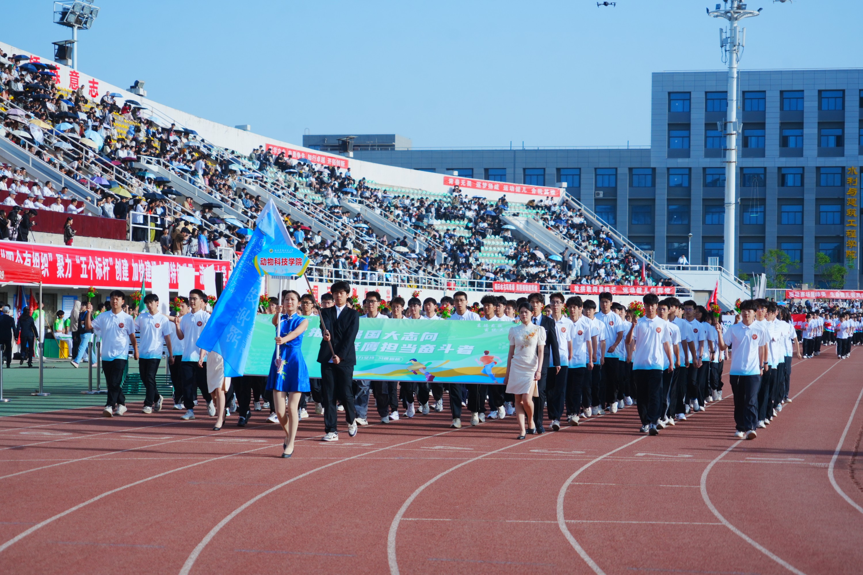动科方正2.jpg