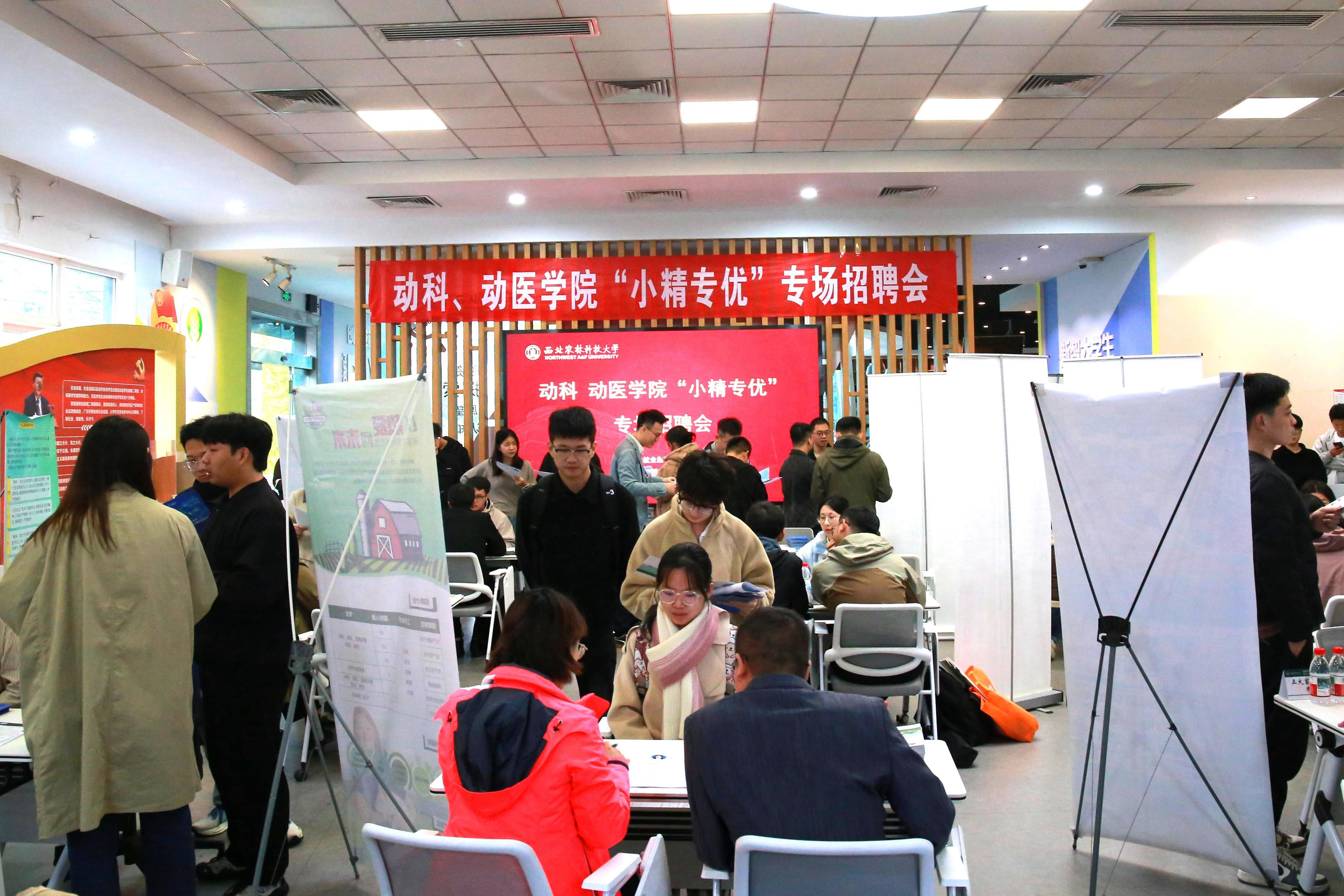 招聘会现场.jpeg