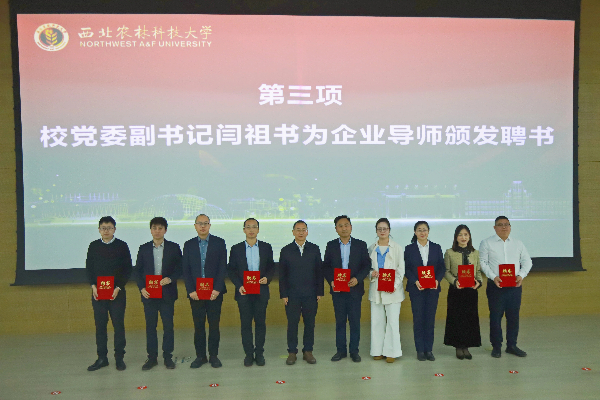 公司党委副书记闫祖书为企业导师颁发聘书.jpg