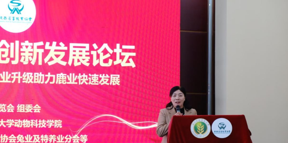 QQ_1776653353796.png