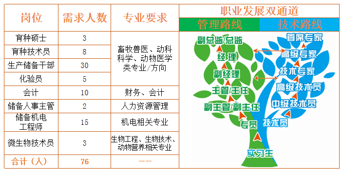 6dfdb6228ac644569ce434f32c8cebf3.png 招聘岗位.png