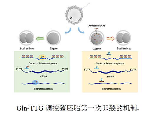 b3f98f5e5d154be4a0e024671ad1161d.png QQ图片20200608165138.png