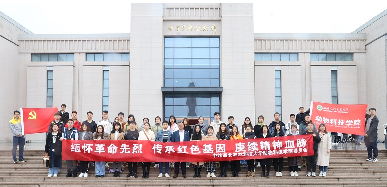 addd21b9290f44beb273a761f0f166d0.png QQ截图20210406104328.png