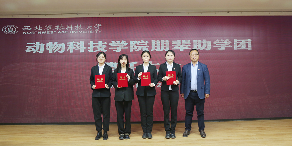 66fac72c488c4296bf6939f39af8e34f.png 王力为受聘朋辈助学团代表颁发聘书1.png
