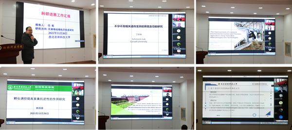 89c308b6f4ac4ac68c9acf81a98196ca.png 图片1_副本.png