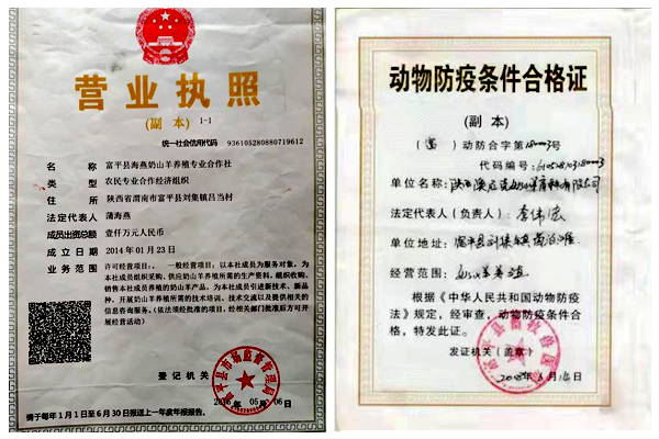 1fc2282ea8564e398faae48c0fb9d57e.png 图片2_副本.png