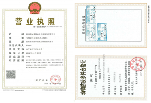 0ae5c47fc2414ad584e7d6de622cbb87.png 图片.png