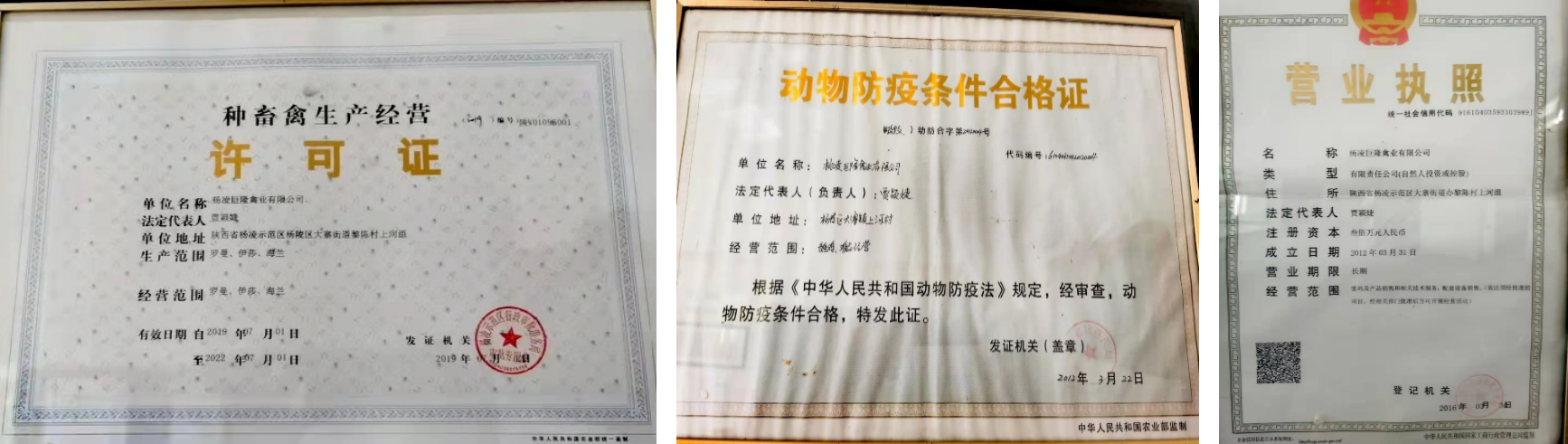 b9f87d0be53f482ab6eacc684f8516a0.png b9f87d0be53f482ab6eacc684f8516a0.png