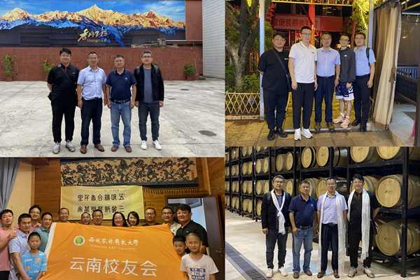 c2d8b1a579bf47478e55d226d703b3e8.jpg 云南员工们_副本.jpg