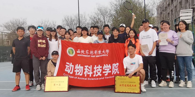 青春无畏 奋进拼搏 公司网球队在“中行杯”老员工网球团体赛中夺冠