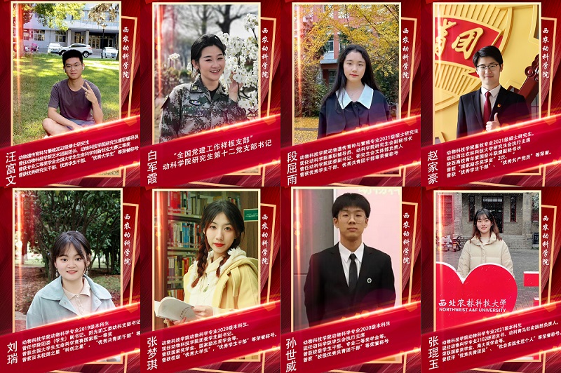 5070c252cd054b0582eccf4a922c374f.jpg 动科青年.jpg