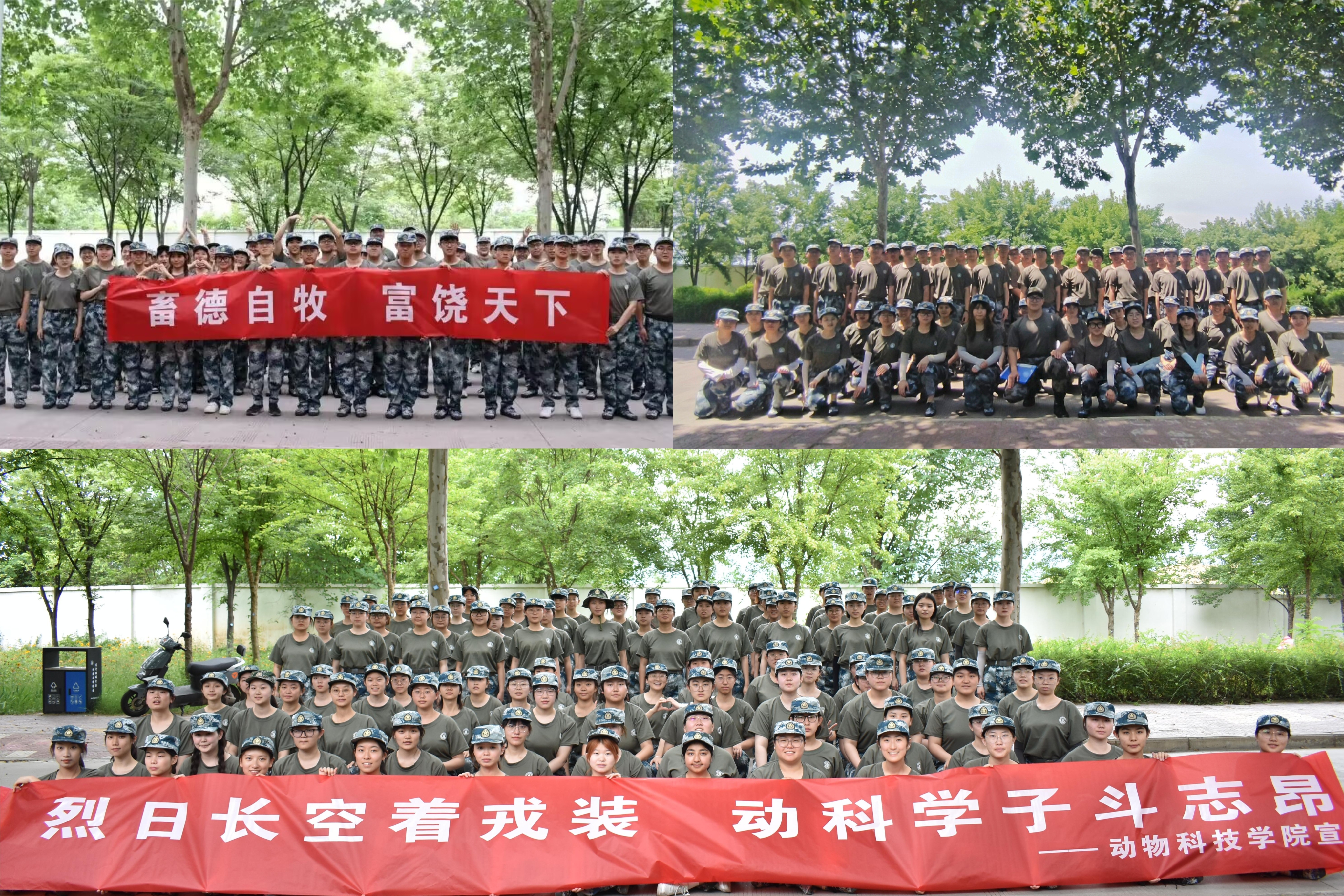 68bb5770cb3248e9b5a61b1df47c1e2d.jpg 68bb5770cb3248e9b5a61b1df47c1e2d.jpg