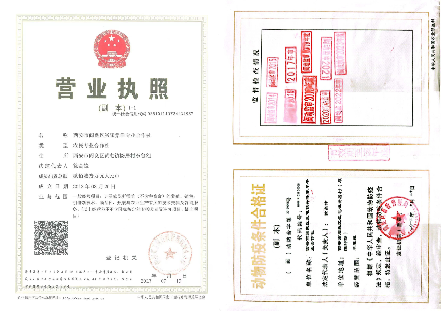 c10c0305f9954f8eb3e83011e4f4a160.png c10c0305f9954f8eb3e83011e4f4a160.png