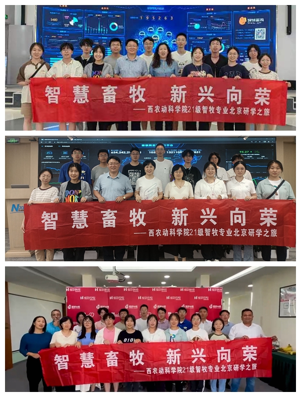 cf7de727799049bdb25213bccb3b3771.jpg 图1.jpg