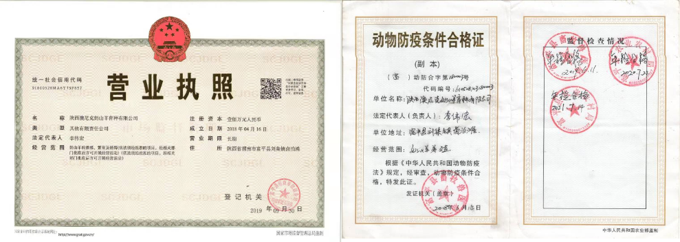 8e134c900f7c46fa96e0ebaedd268750.png 8e134c900f7c46fa96e0ebaedd268750.png