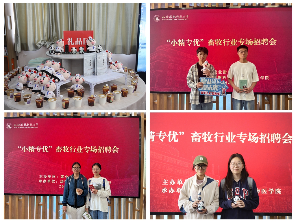 低年级员工打卡.jpg