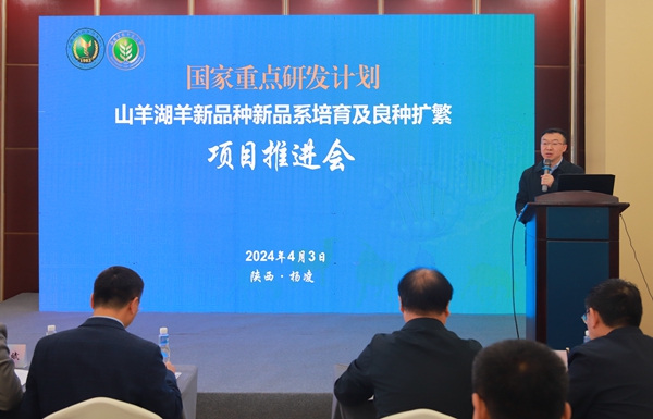 王小龙副经理主持会议_副本.jpg