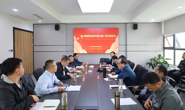 4282f9f5efd74c179c815931bc6449d9.jpg 2_副本.jpg