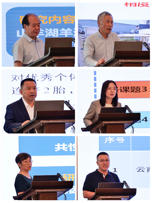 发言拼图.jpg
