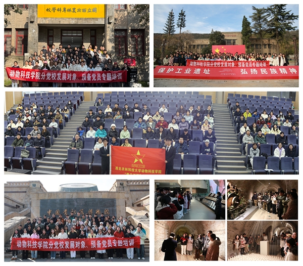 52d933d34e0355781efd04c3fe858b88_副本.jpg
