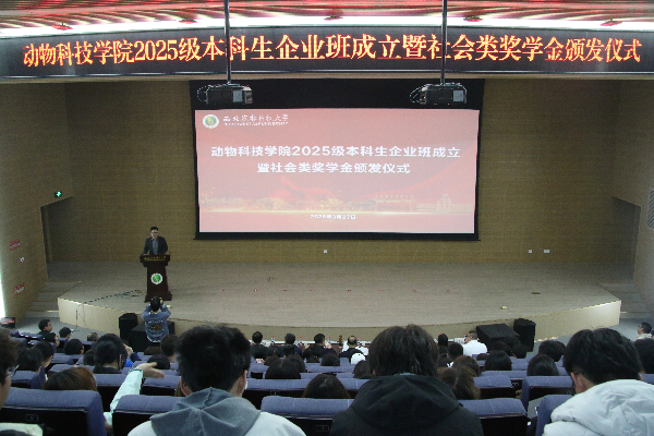 活动现场.jpg