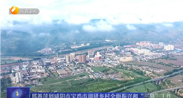 【陕西卫视】省委副书记邢善萍赴公司正大吨产奶山羊育种基地考察调研